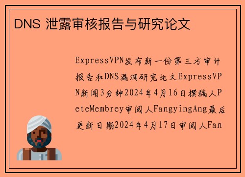 DNS 泄露审核报告与研究论文 