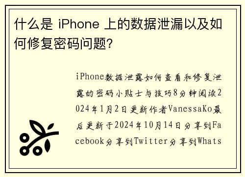 什么是 iPhone 上的数据泄漏以及如何修复密码问题？